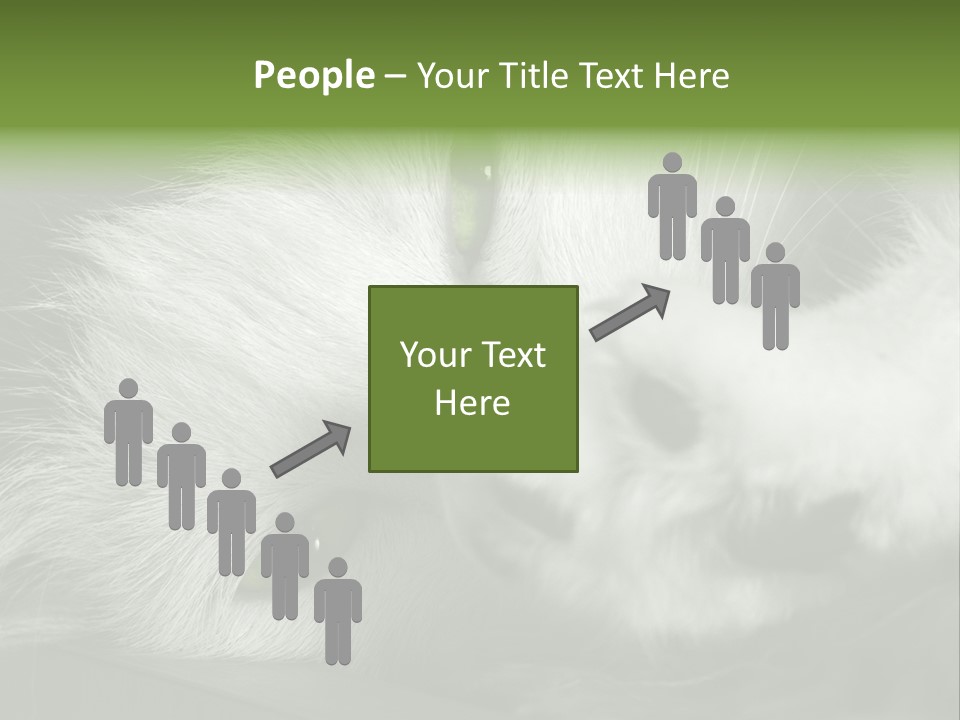 Charm PowerPoint Template