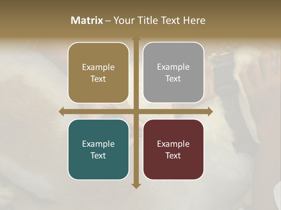 Dog Getting His Immunization Shot PowerPoint Template