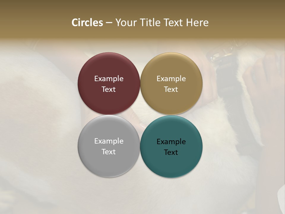 Dog Getting His Immunization Shot PowerPoint Template