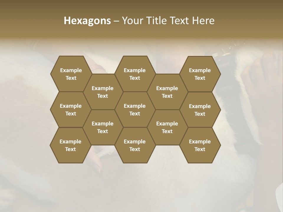 Dog Getting His Immunization Shot PowerPoint Template