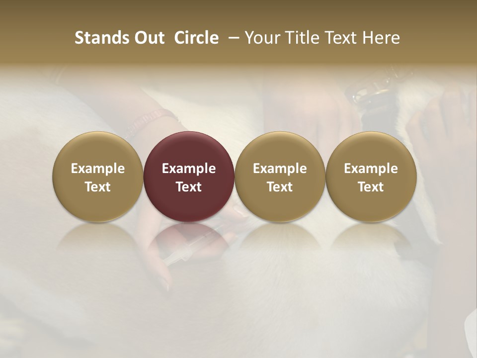 Dog Getting His Immunization Shot PowerPoint Template