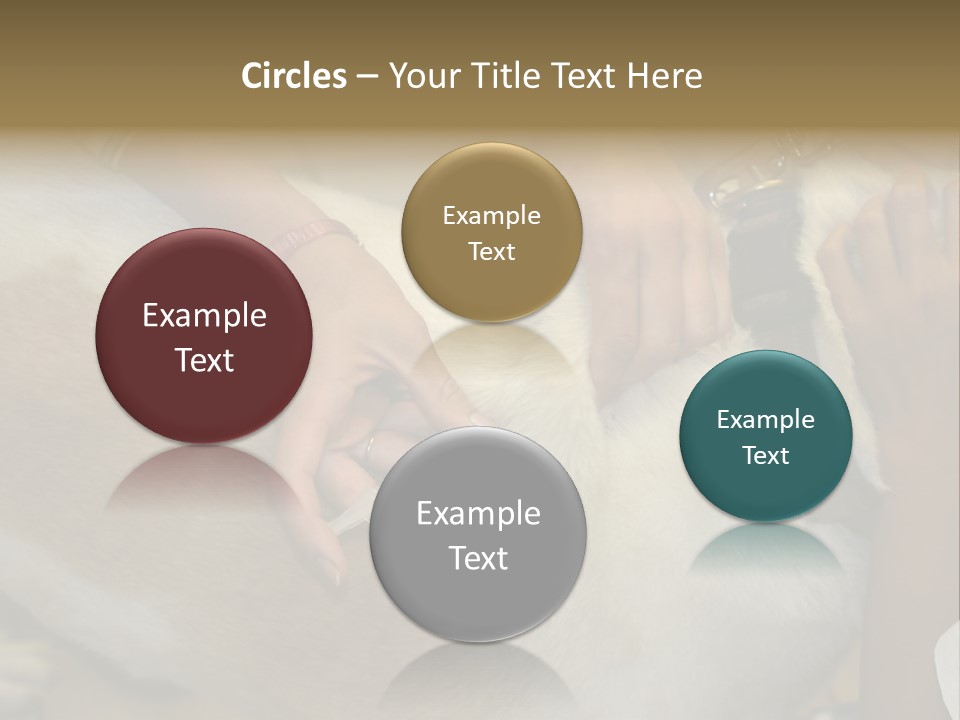 Dog Getting His Immunization Shot PowerPoint Template