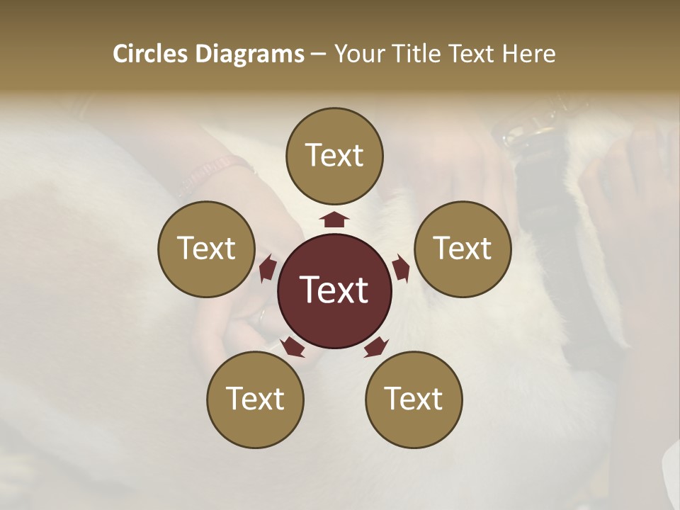 Dog Getting His Immunization Shot PowerPoint Template