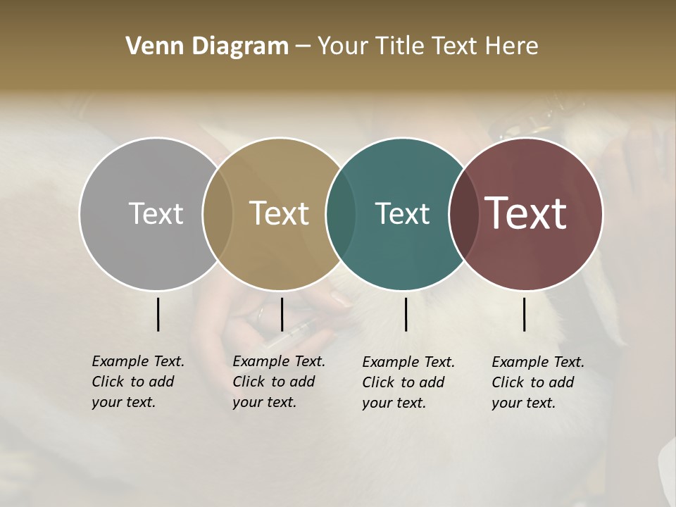 Dog Getting His Immunization Shot PowerPoint Template