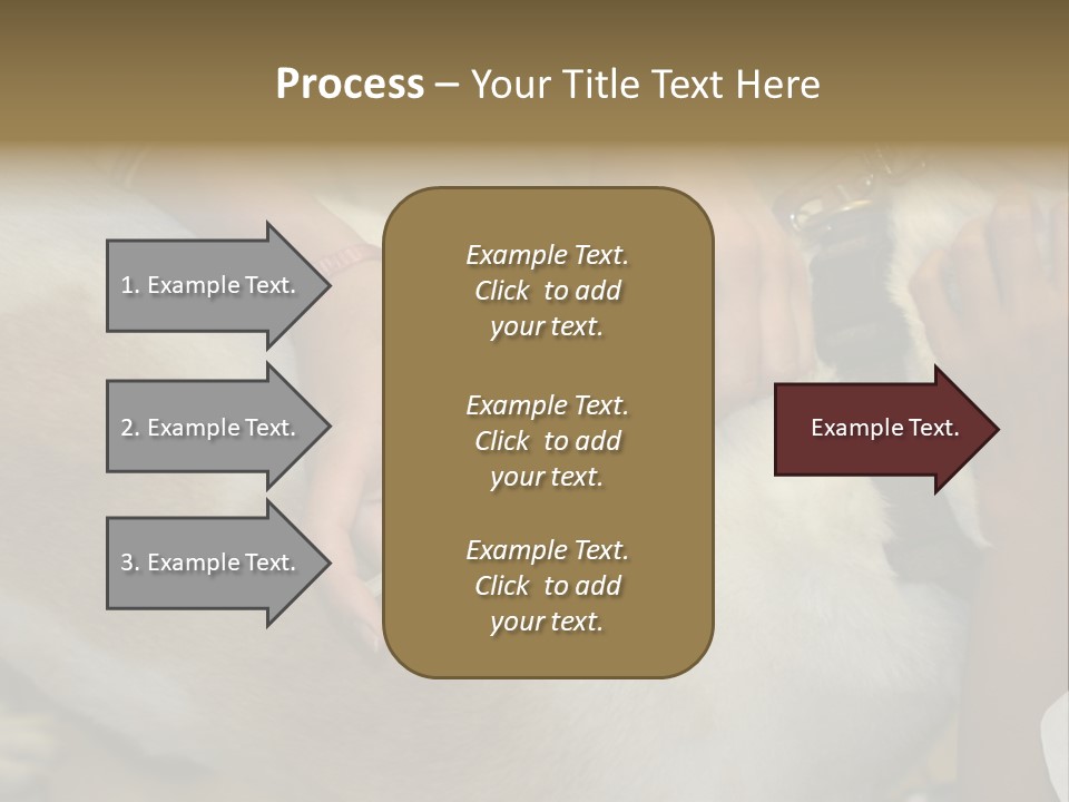 Dog Getting His Immunization Shot PowerPoint Template