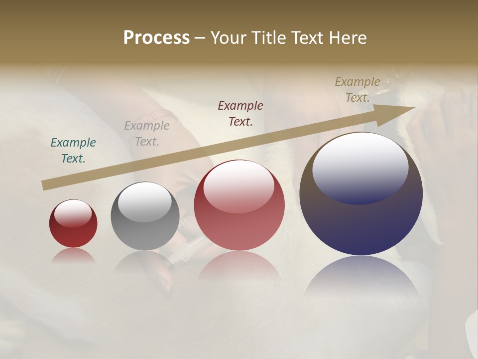 Dog Getting His Immunization Shot PowerPoint Template