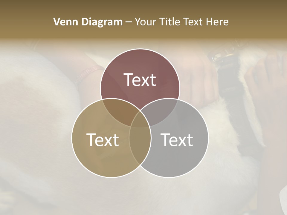 Dog Getting His Immunization Shot PowerPoint Template