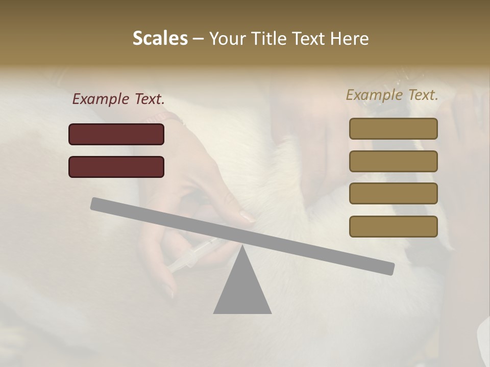 Dog Getting His Immunization Shot PowerPoint Template