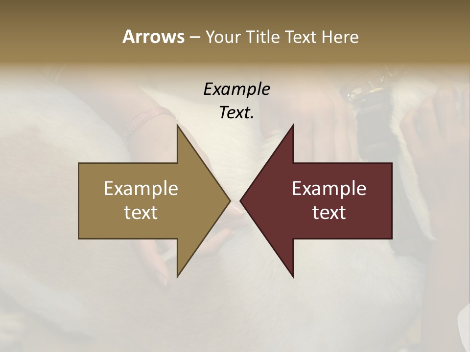 Dog Getting His Immunization Shot PowerPoint Template