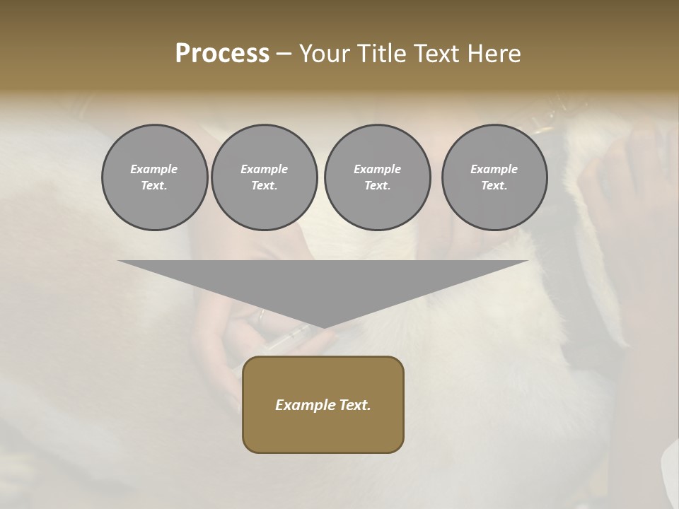 Dog Getting His Immunization Shot PowerPoint Template