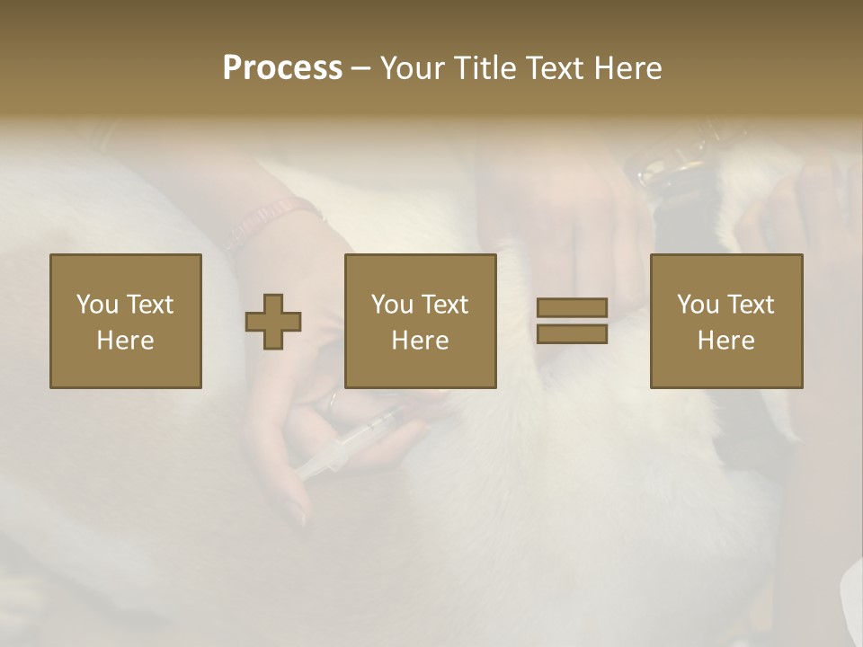 Dog Getting His Immunization Shot PowerPoint Template