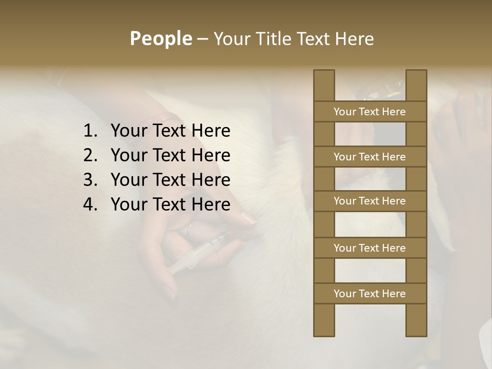 Dog Getting His Immunization Shot PowerPoint Template