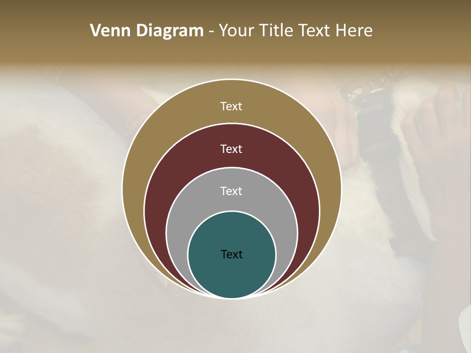 Dog Getting His Immunization Shot PowerPoint Template