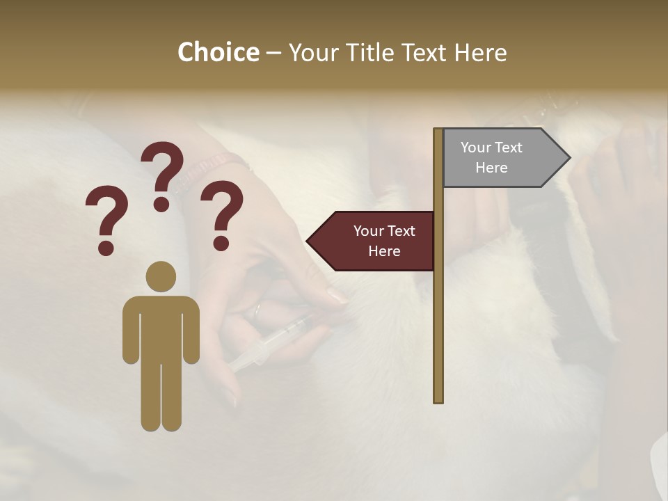 Dog Getting His Immunization Shot PowerPoint Template