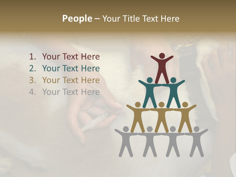 Dog Getting His Immunization Shot PowerPoint Template