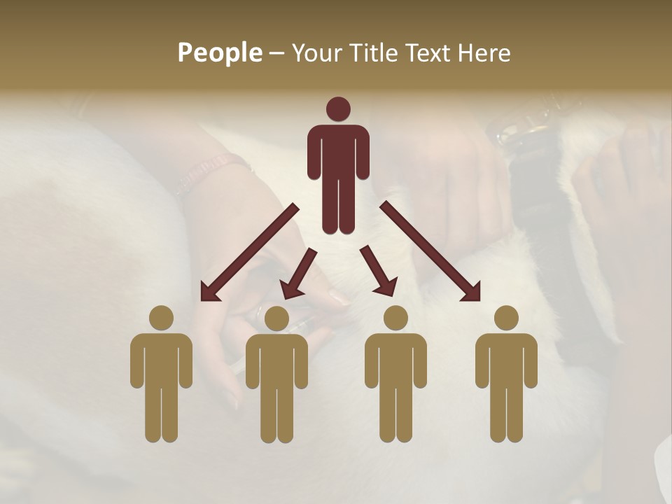 Dog Getting His Immunization Shot PowerPoint Template