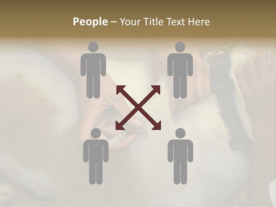 Dog Getting His Immunization Shot PowerPoint Template