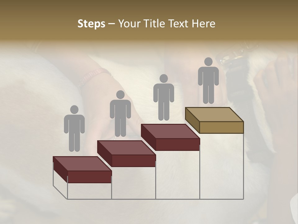 Dog Getting His Immunization Shot PowerPoint Template