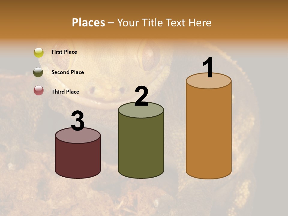 Crested Gecko PowerPoint Template