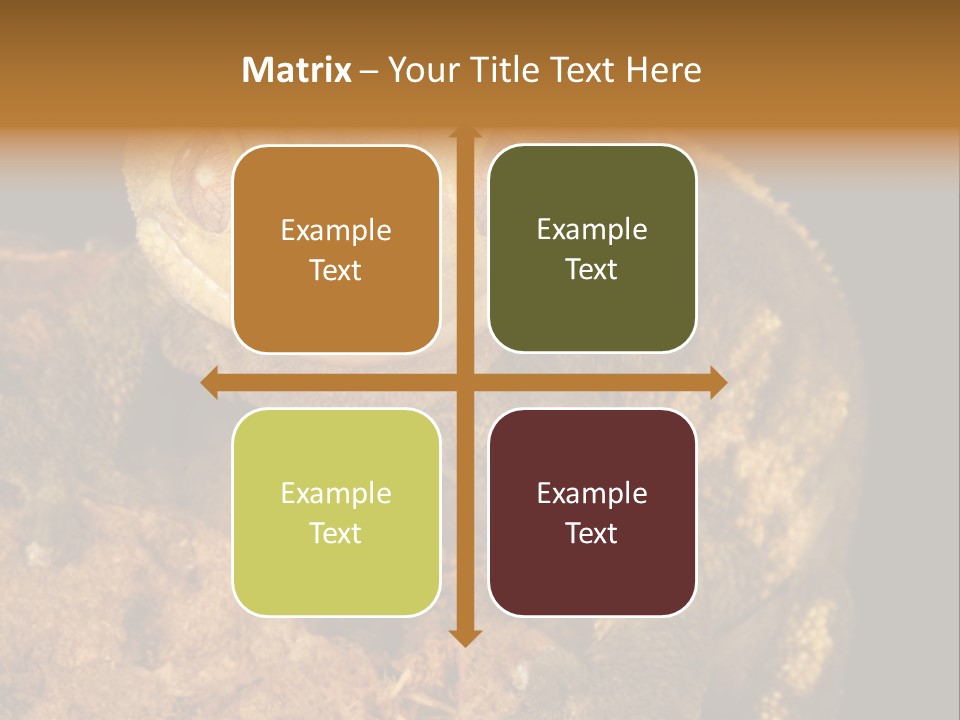 Crested Gecko PowerPoint Template