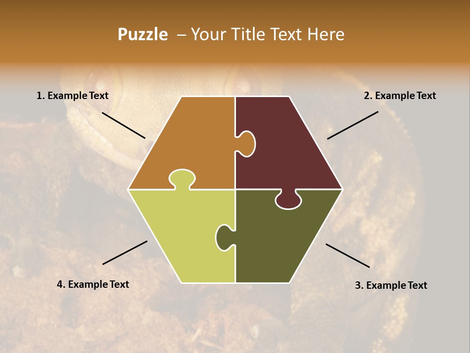 Crested Gecko PowerPoint Template