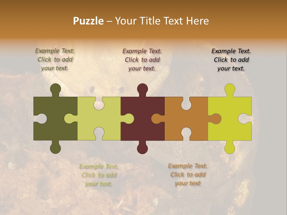 Crested Gecko PowerPoint Template