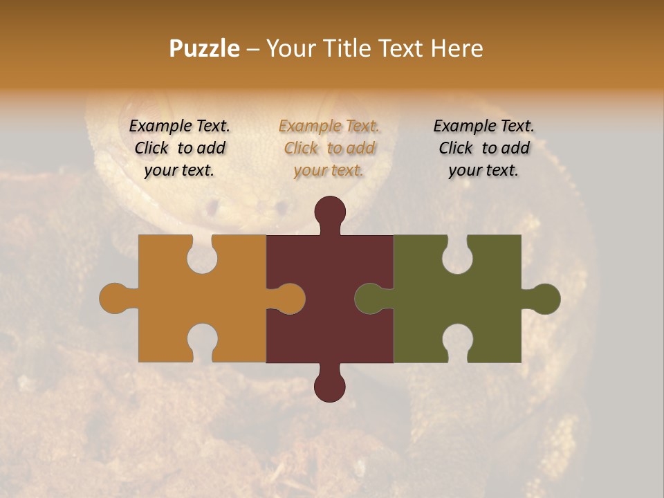 Crested Gecko PowerPoint Template