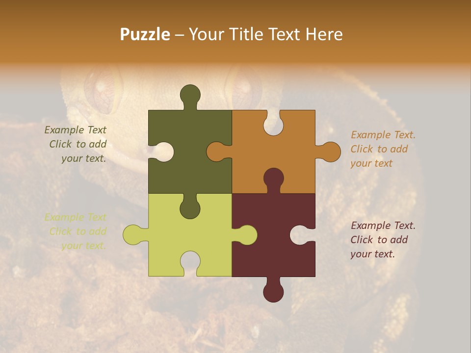 Crested Gecko PowerPoint Template