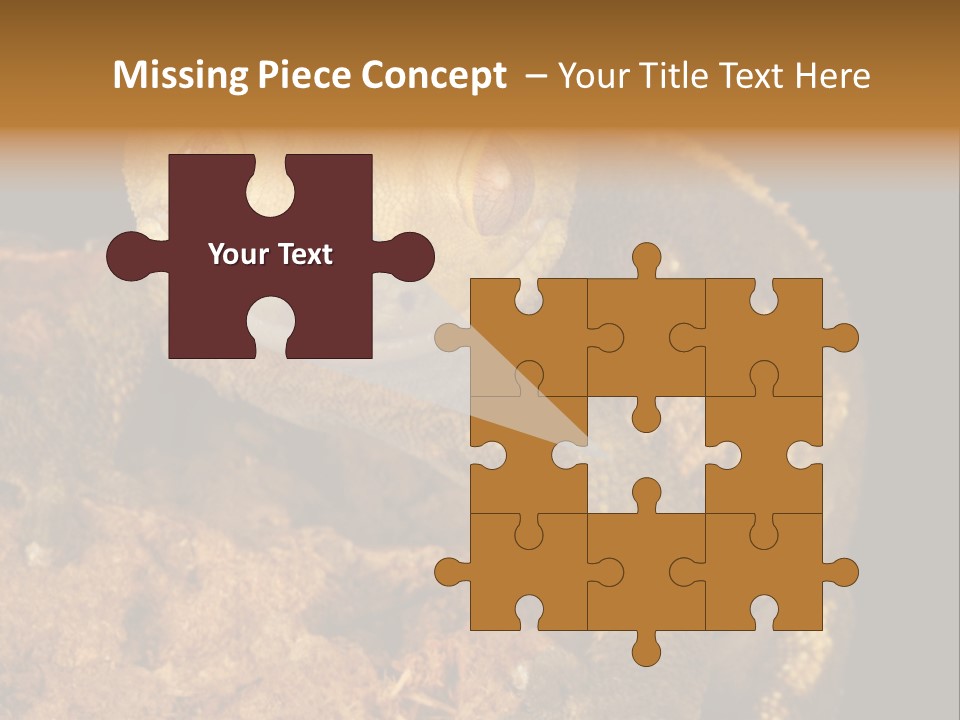 Crested Gecko PowerPoint Template