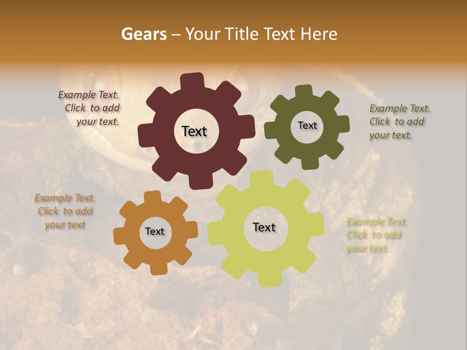 Crested Gecko PowerPoint Template