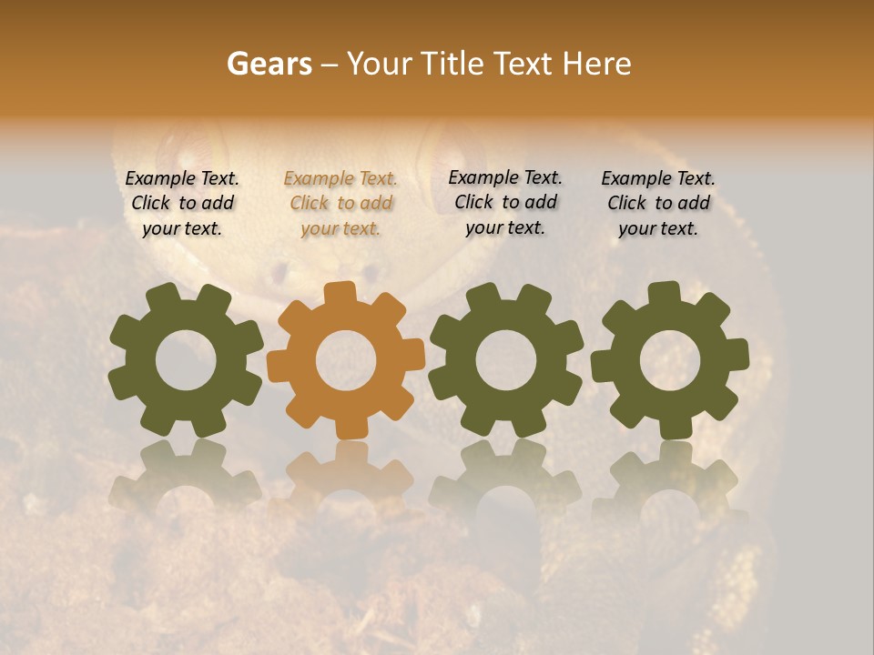 Crested Gecko PowerPoint Template