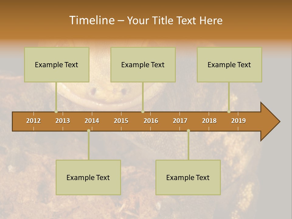 Crested Gecko PowerPoint Template