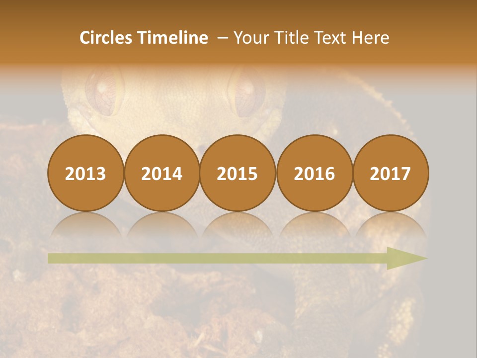 Crested Gecko PowerPoint Template