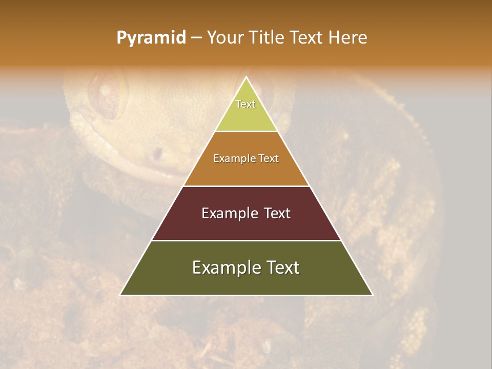 Crested Gecko PowerPoint Template
