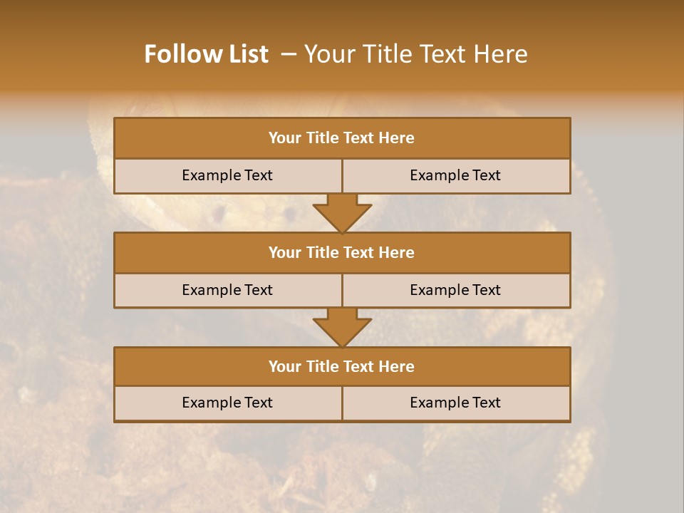 Crested Gecko PowerPoint Template