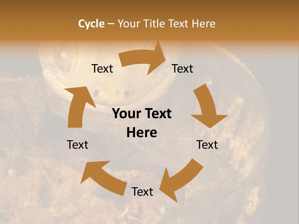 Crested Gecko PowerPoint Template