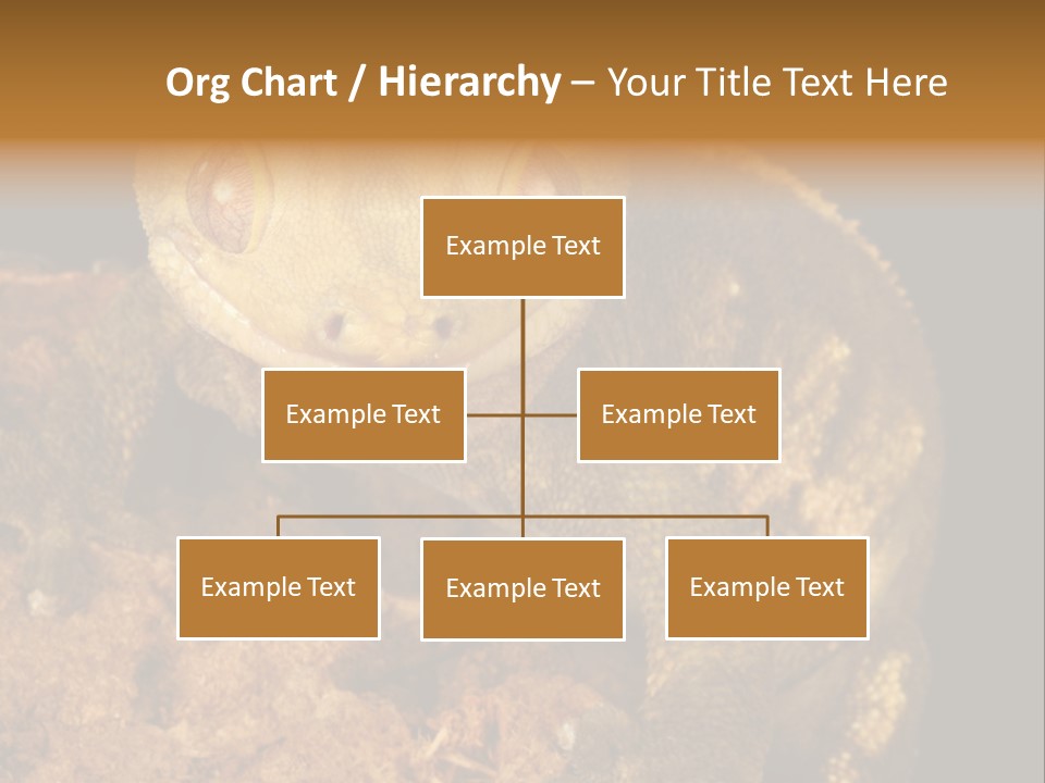 Crested Gecko PowerPoint Template