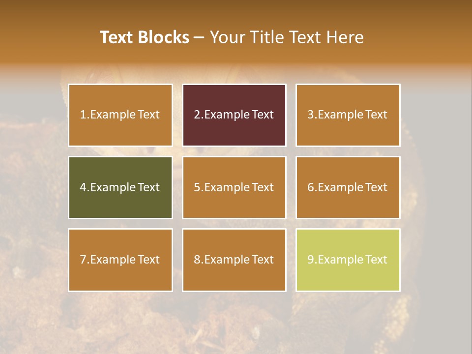 Crested Gecko PowerPoint Template