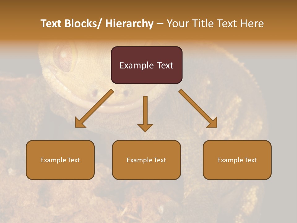 Crested Gecko PowerPoint Template