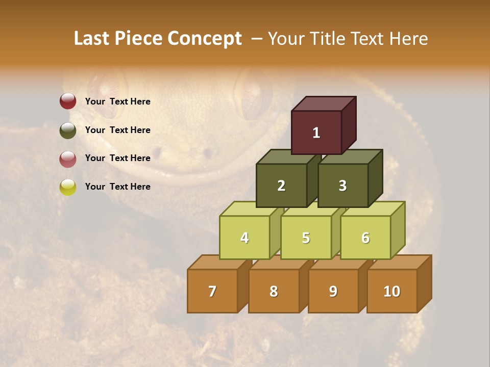 Crested Gecko PowerPoint Template