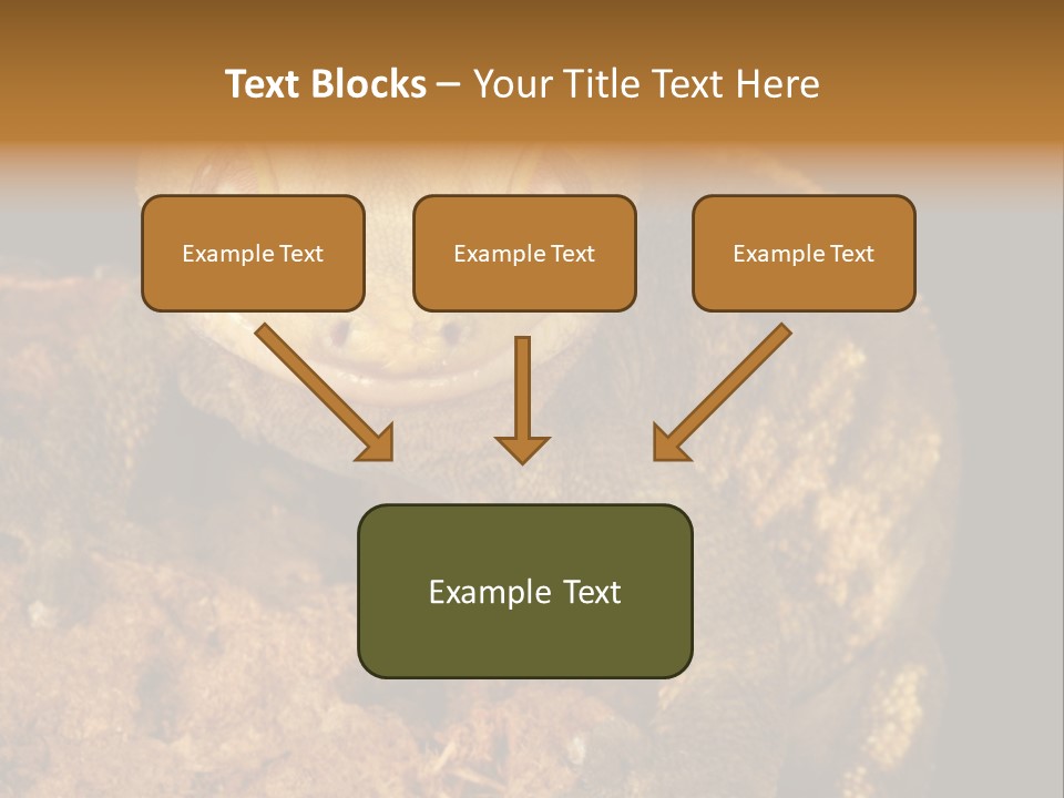 Crested Gecko PowerPoint Template