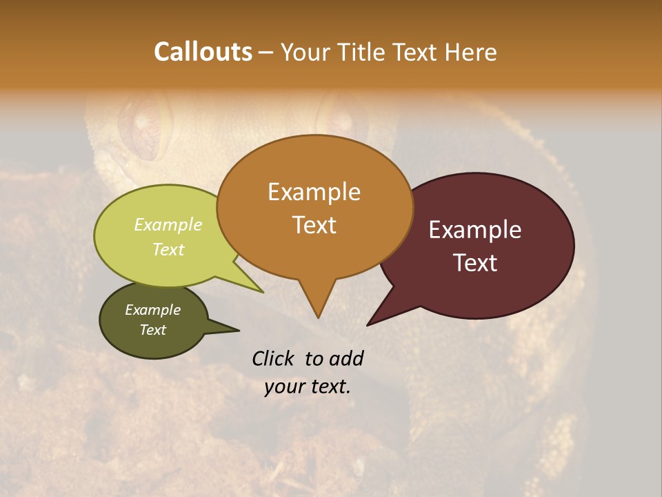 Crested Gecko PowerPoint Template