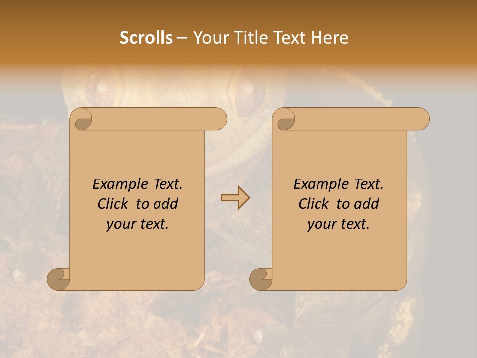 Crested Gecko PowerPoint Template