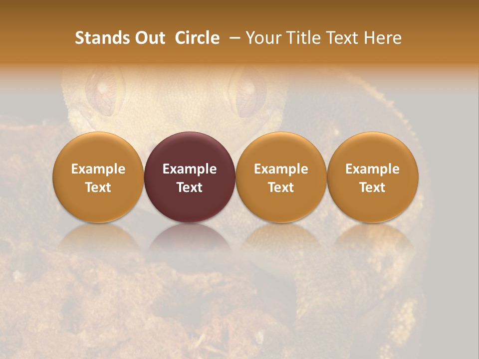 Crested Gecko PowerPoint Template