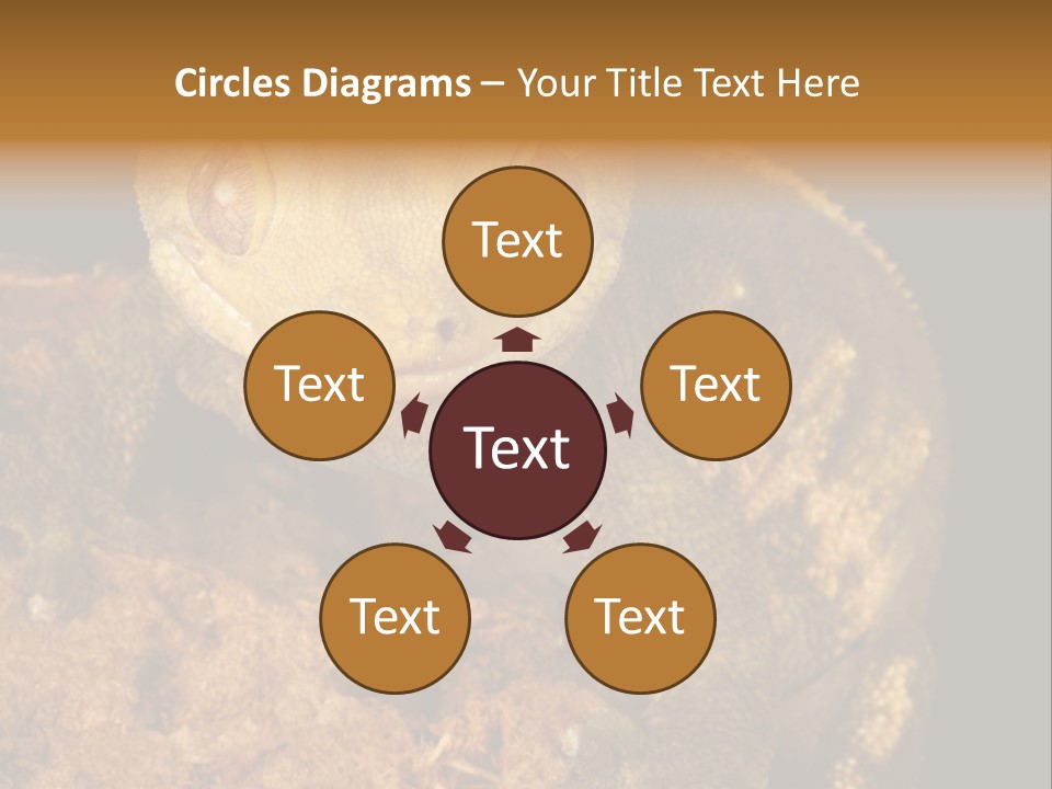 Crested Gecko PowerPoint Template