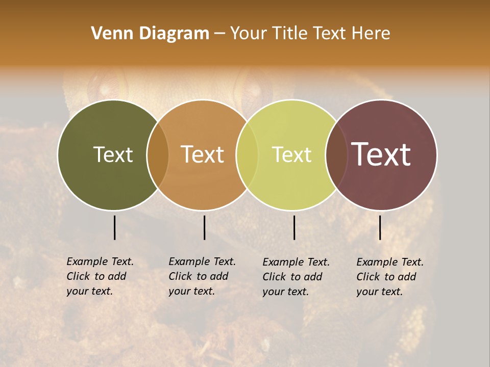 Crested Gecko PowerPoint Template