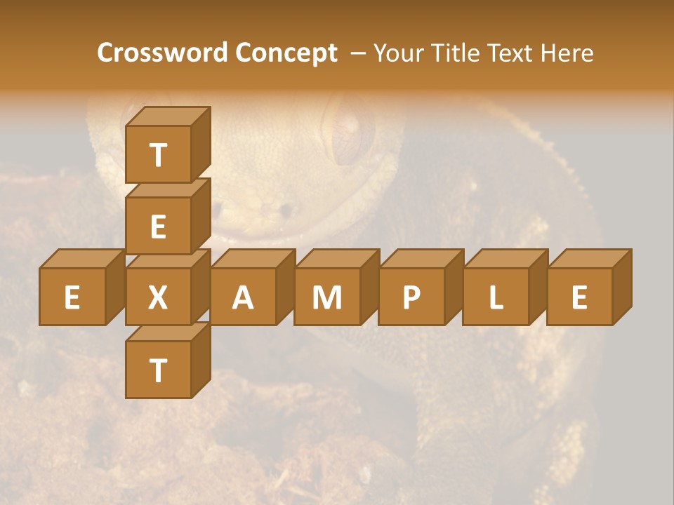 Crested Gecko PowerPoint Template