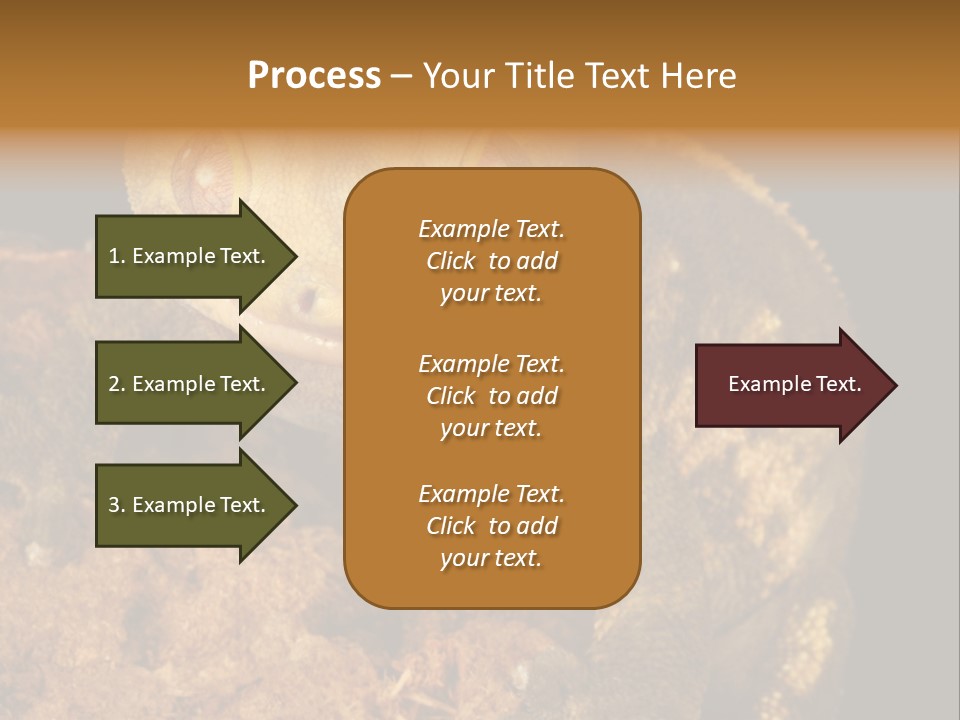 Crested Gecko PowerPoint Template