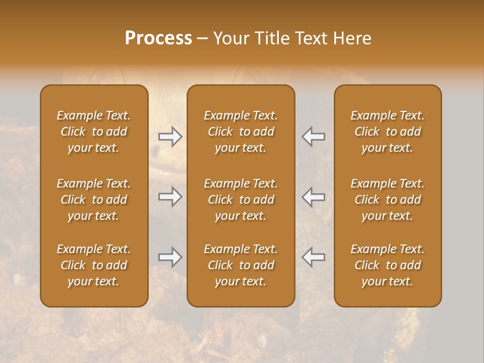 Crested Gecko PowerPoint Template
