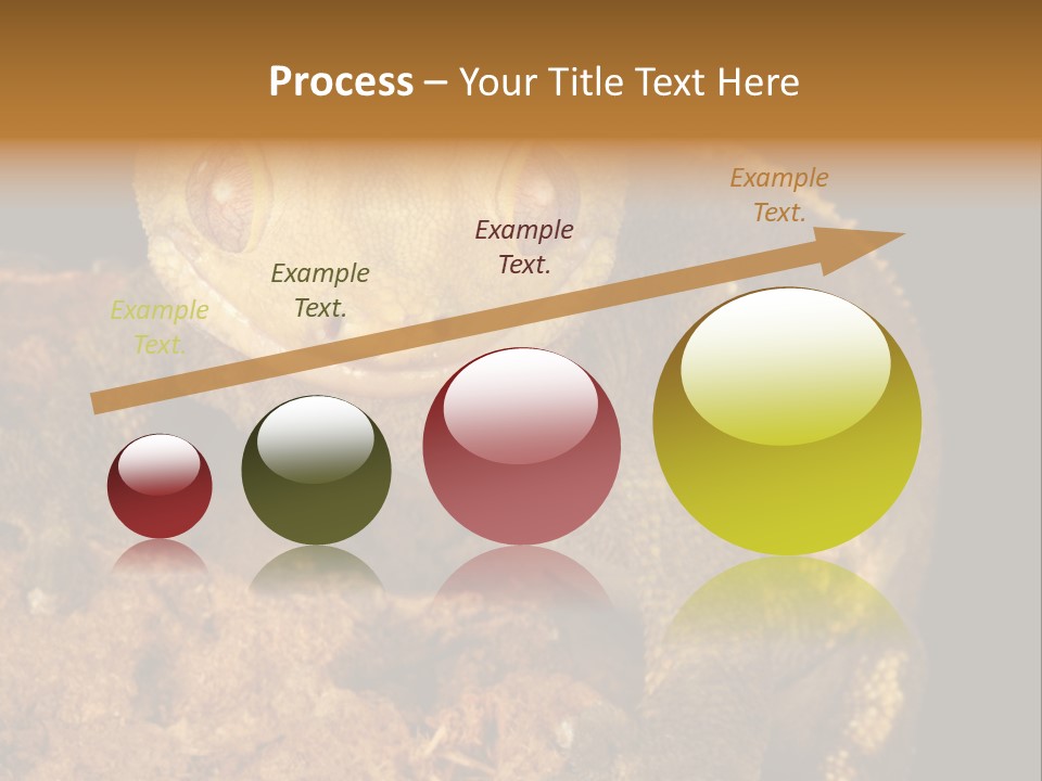 Crested Gecko PowerPoint Template